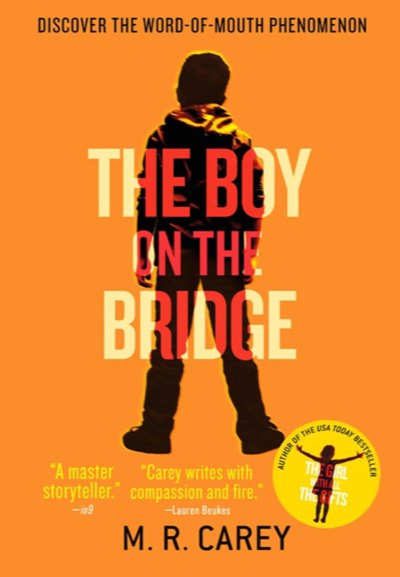 Image for Boy on the Bridge