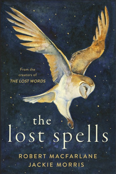 Image for Lost Spells