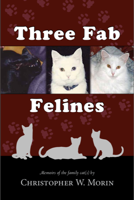 Image for Three Fab Felines: Memoirs of the family catc