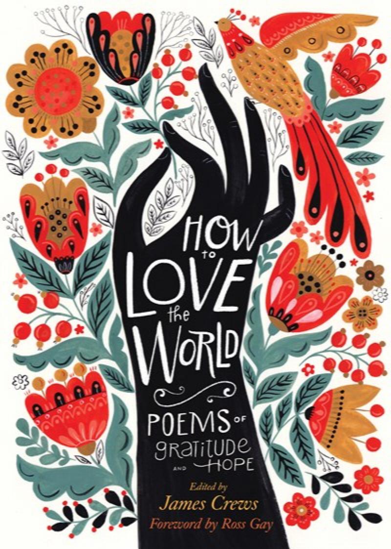 Image for How to Love the World: Poems of Gratitude and Hope