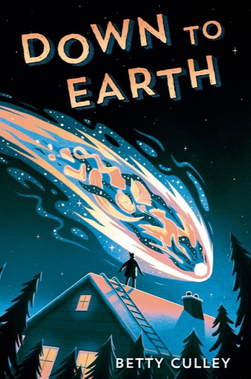 Image for Down to Earth