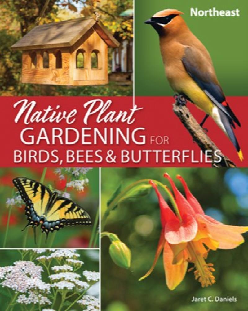 Image for Native Plant Gardening for Birds, Bees & Butterflies: Northeast