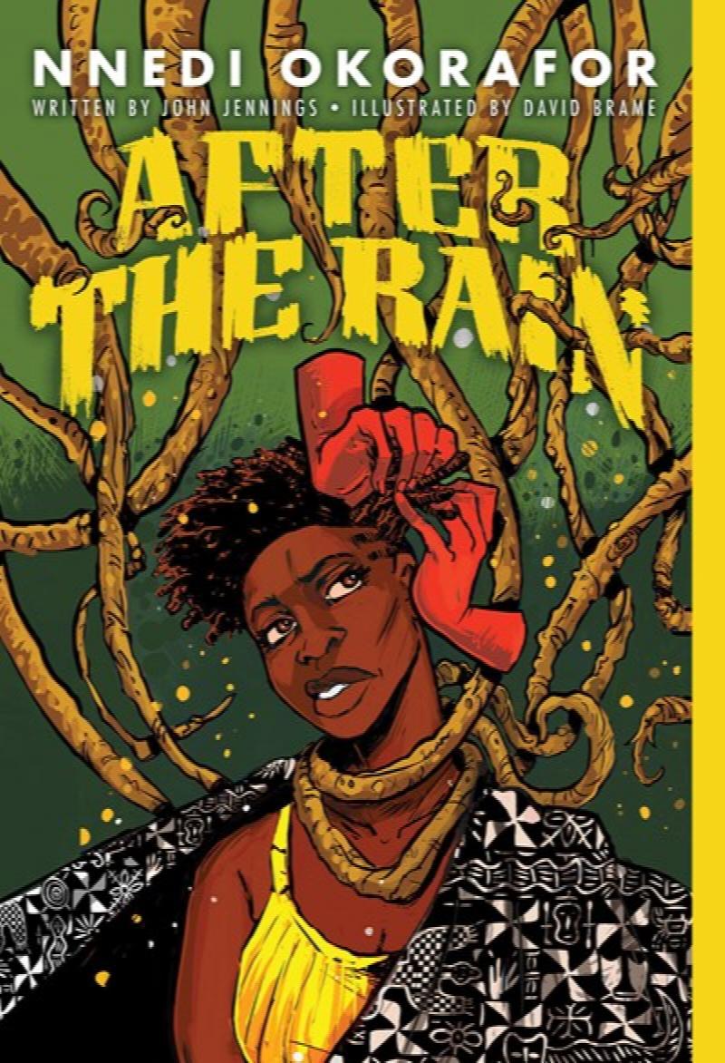 Image for After the Rain