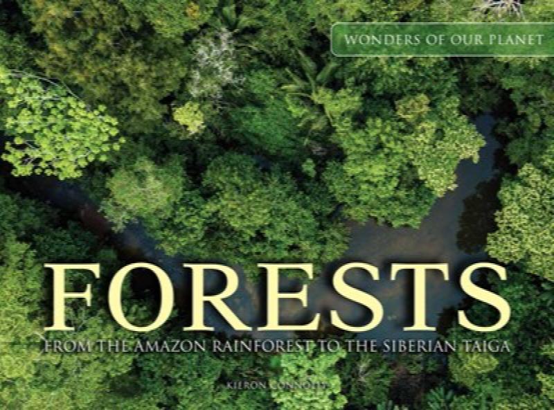 Image for Forests
