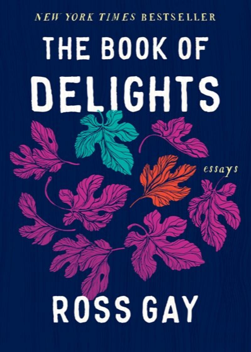 Image for Book of Delights: Essays