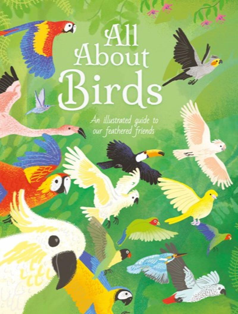 Image for All About Birds: An Illustrated Guide to Our Feathered Friends