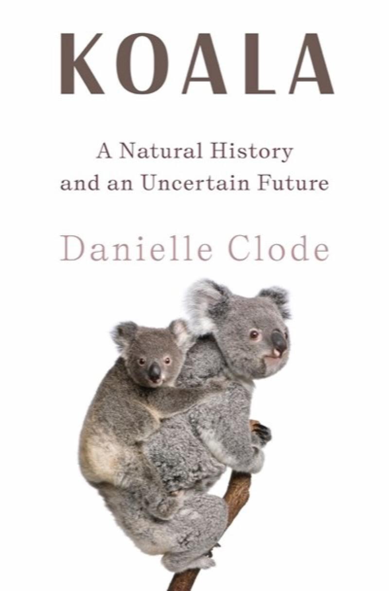 Image for Koala: A Natural History and an Uncertain Future