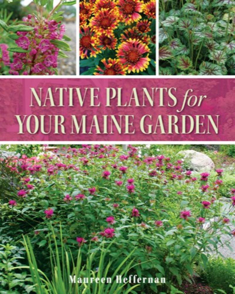 Image for Native Plants for Your Maine Garden