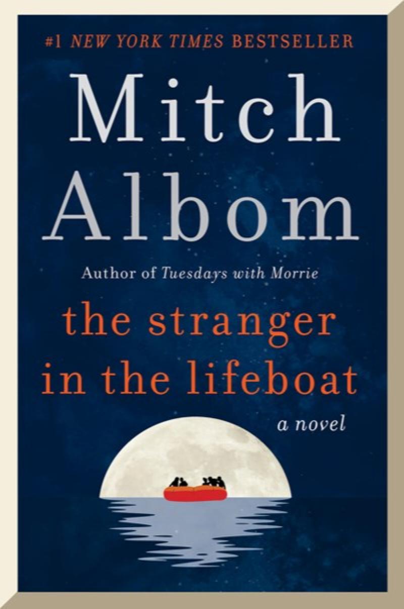 Image for Stranger in the Lifeboat: A Novel