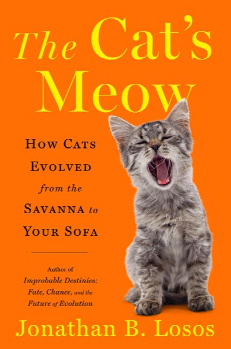 Image for Cat's Meow: How Cats Evolved from the Savanna to Your Sofa