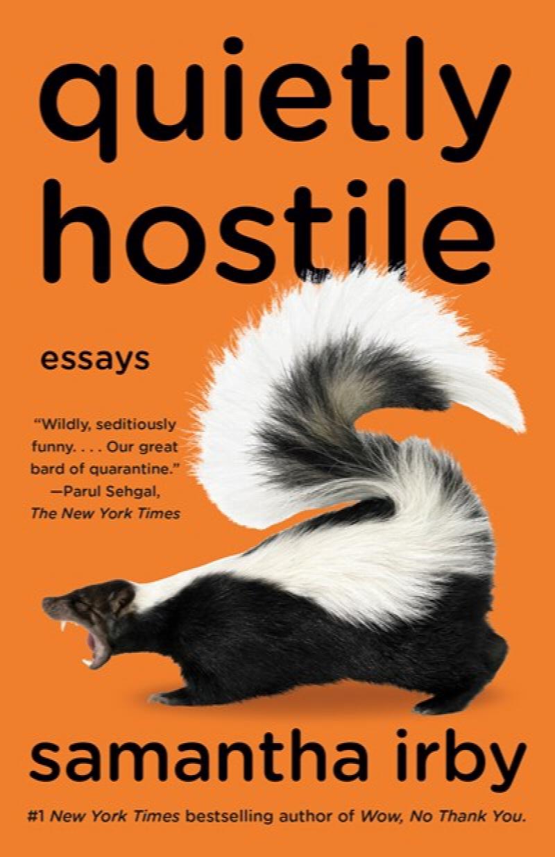 Image for Quietly Hostile: Essays
